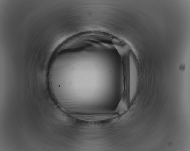 X0000094930975200712131533