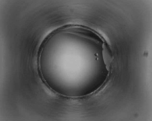 X0000094930976200712131533