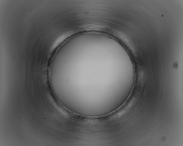 X0000094930978200712131533
