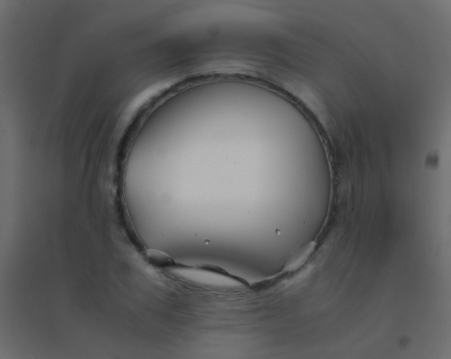 X0000094930979200712131533