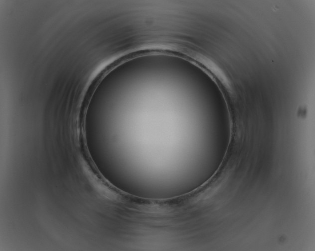 X0000094930980200712131533
