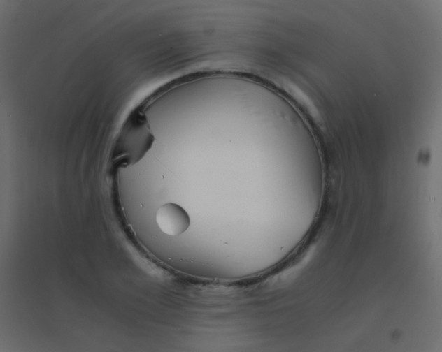 X0000094930981200712131533