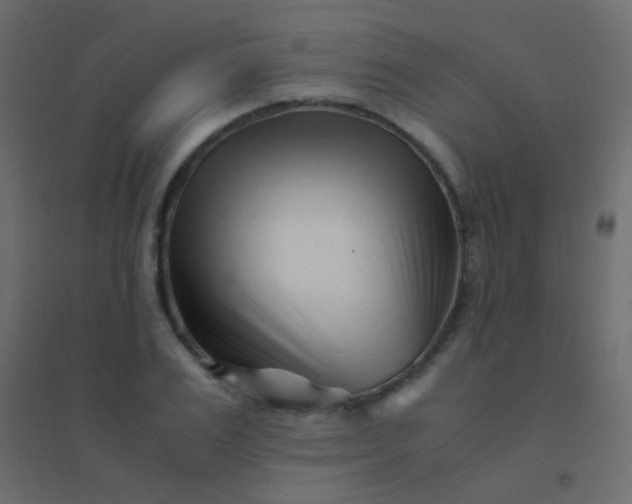 X0000094930983200712131533