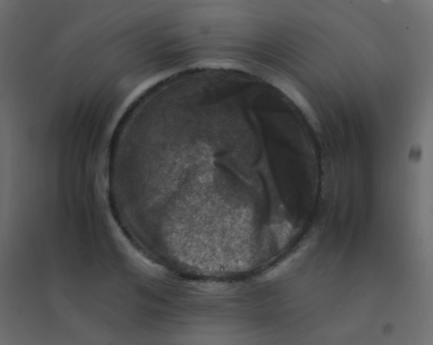 X0000094930984200712131533