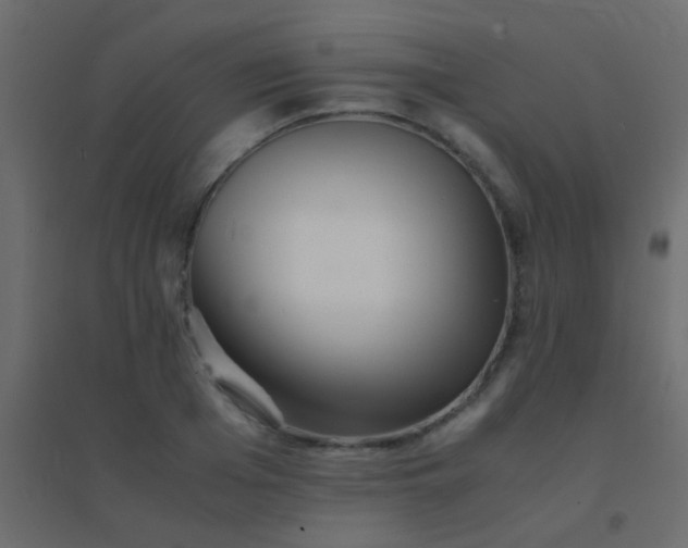 X0000094930985200712131533