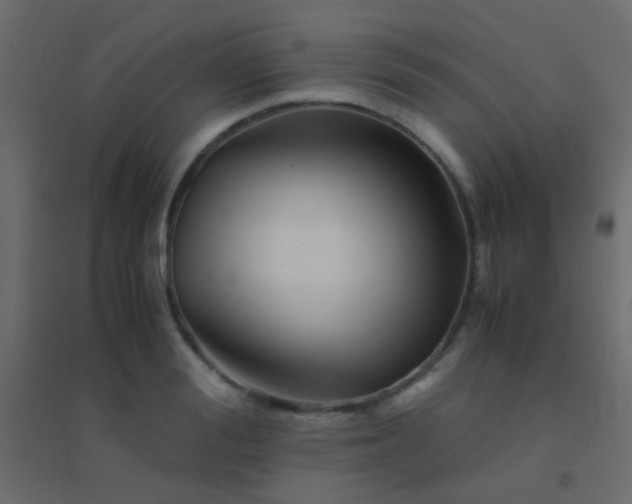 X0000094930988200712131533