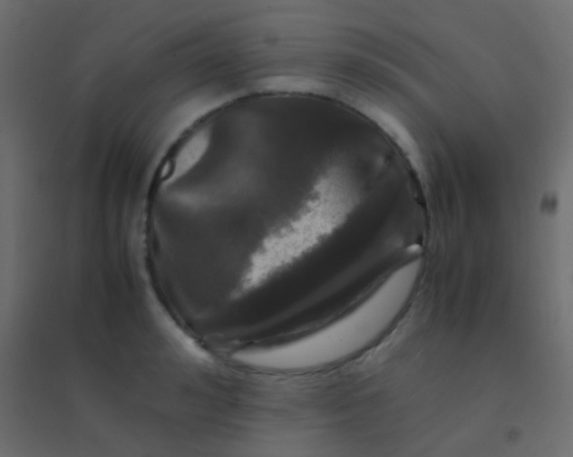 X0000094930992200712131533