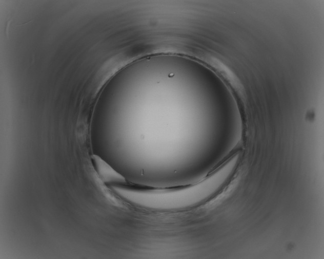 X0000094930993200712131533