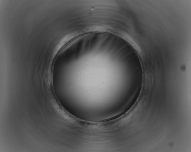 X0000094930994200712131533