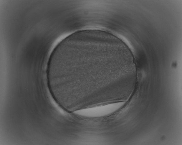 X0000094930995200712131533