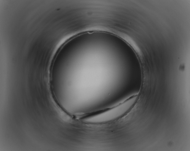 X0000094930996200712131533