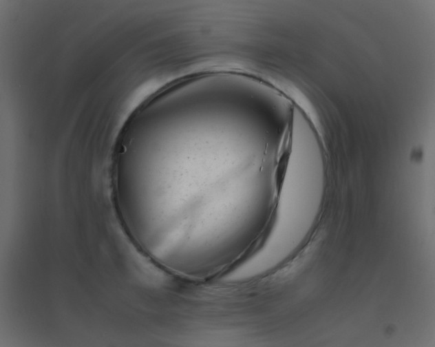 X0000094930997200712131533
