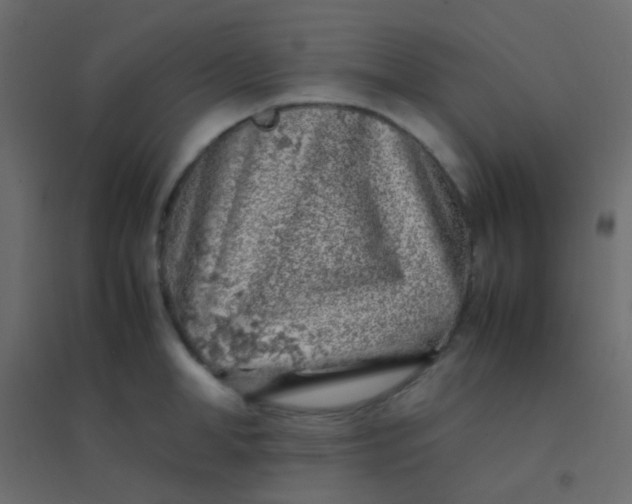 X0000094930998200712131533