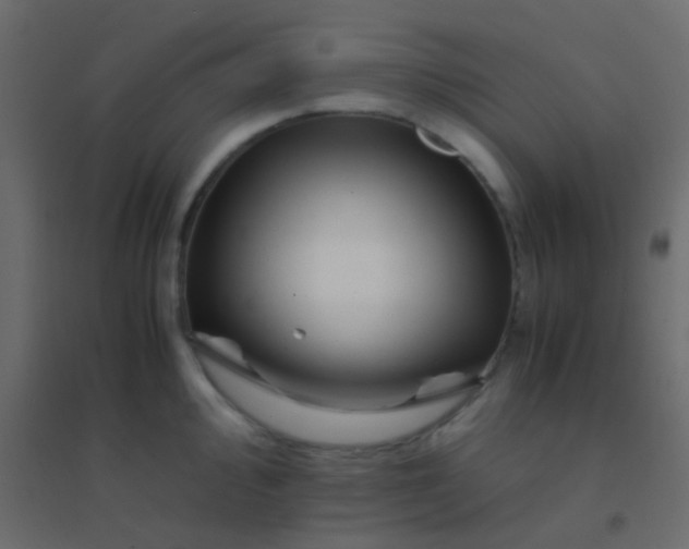 X0000094931000200712131533