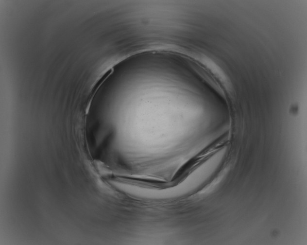 X0000094931001200712131533