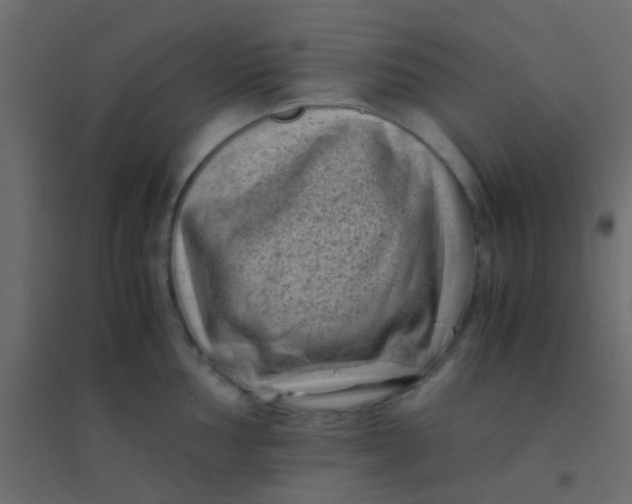 X0000094931002200712131533