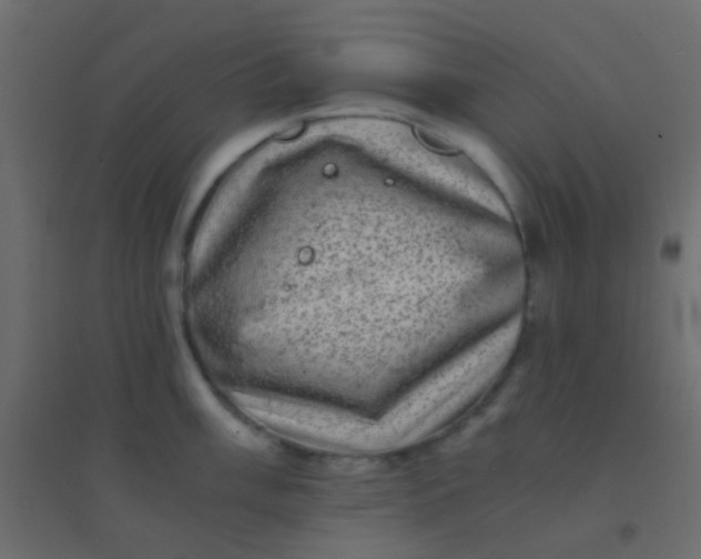 X0000094931003200712131533
