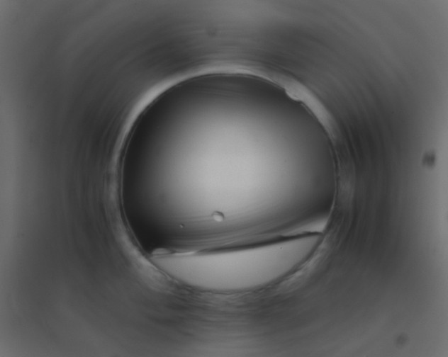 X0000094931004200712131533