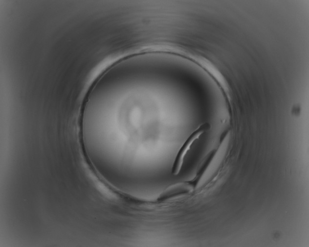 X0000094931005200712131533