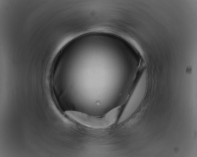 X0000094931007200712131533