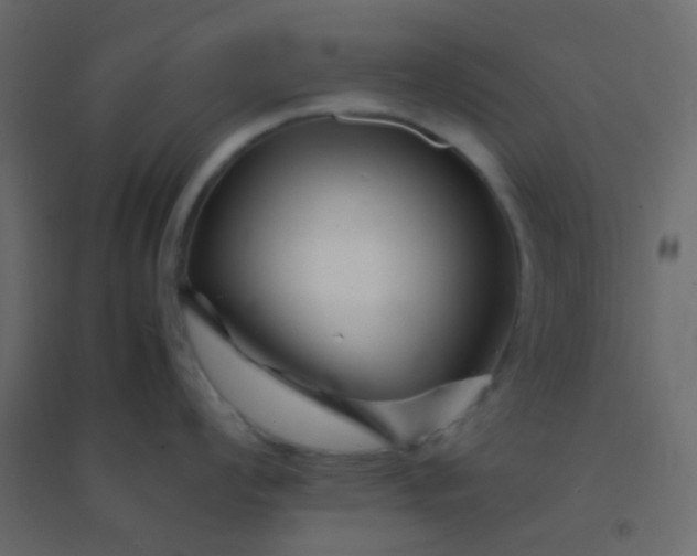 X0000094931008200712131533