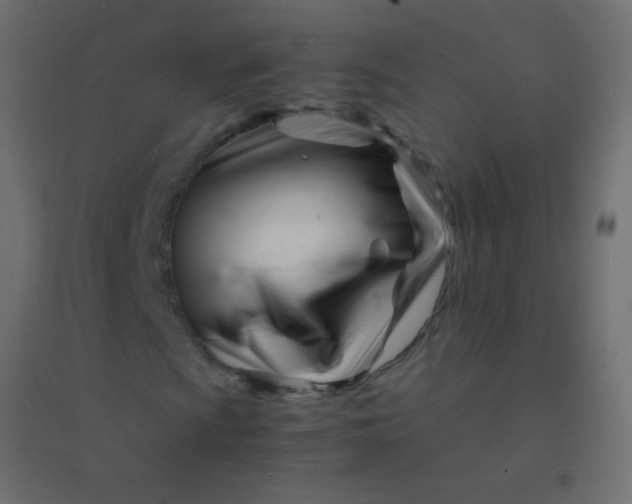 X0000094931009200712131532