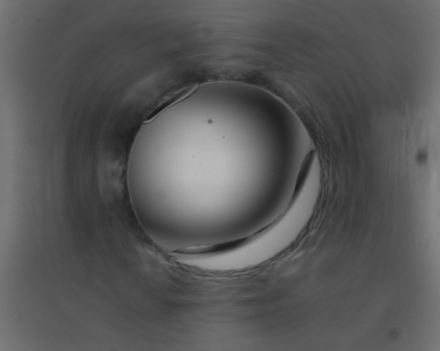 X0000094931010200712131532