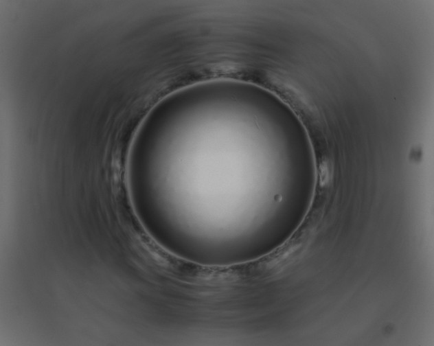 X0000094931011200712131532