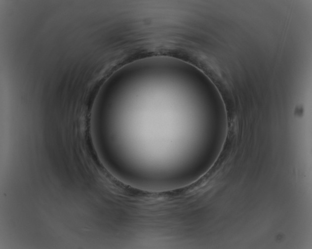 X0000094931012200712131532