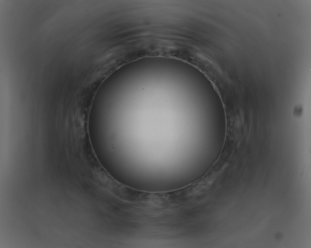 X0000094931013200712131532