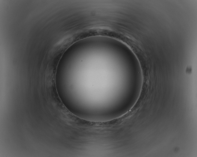 X0000094931014200712131532
