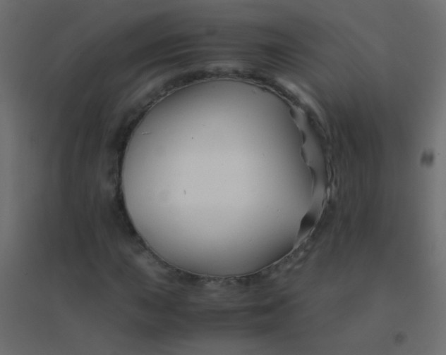 X0000094931015200712131532