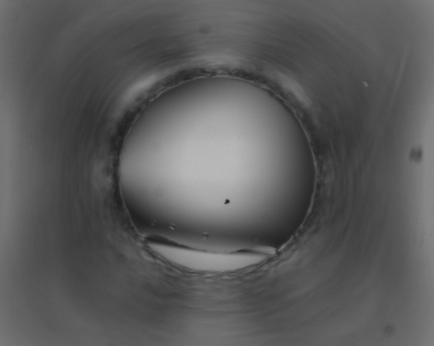 X0000094931016200712131532