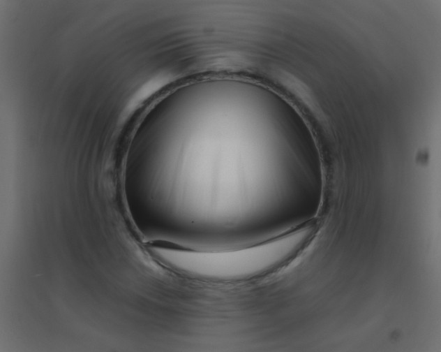 X0000094931018200712131532