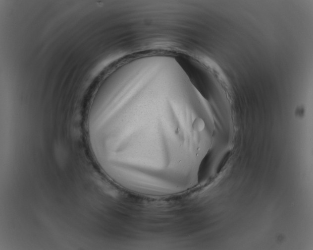 X0000094931019200712131532