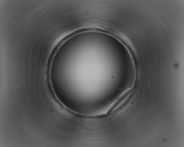 X0000094931020200712131532
