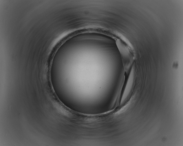X0000094931021200712131532