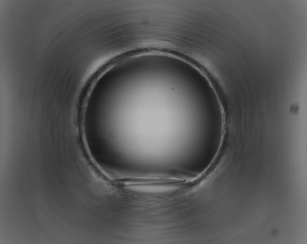 X0000094931022200712131532