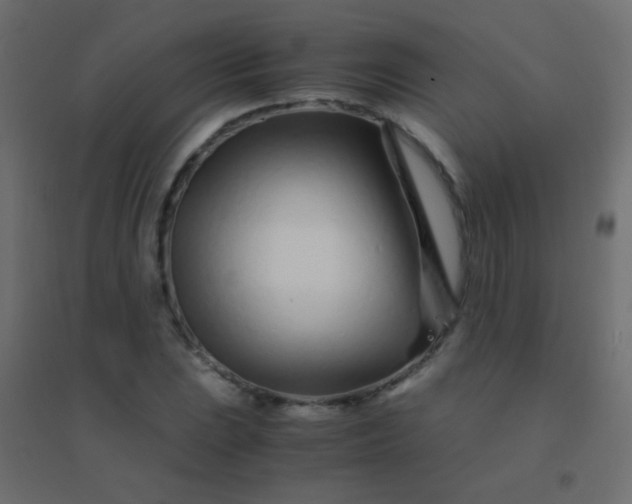 X0000094931023200712131532