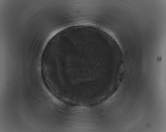 X0000094931024200712131532