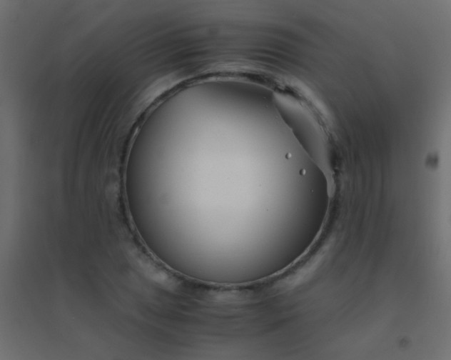 X0000094931025200712131532