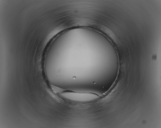 X0000094931026200712131532