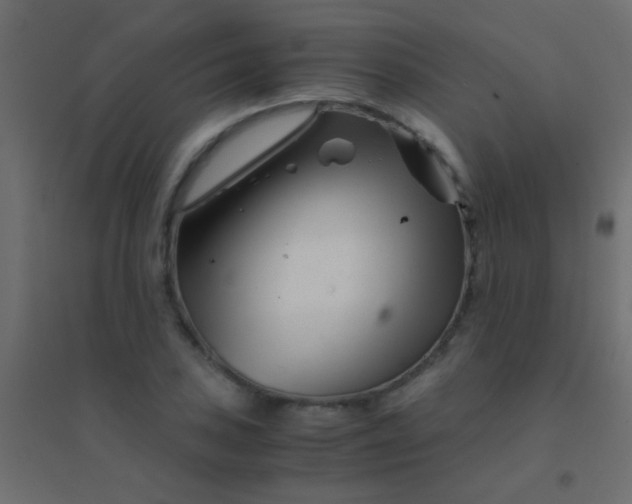 X0000094931027200712131532