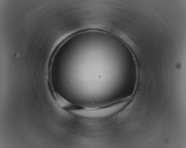 X0000094931028200712131532