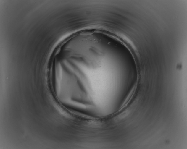 X0000094931029200712131532