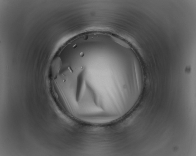 X0000094931030200712131532