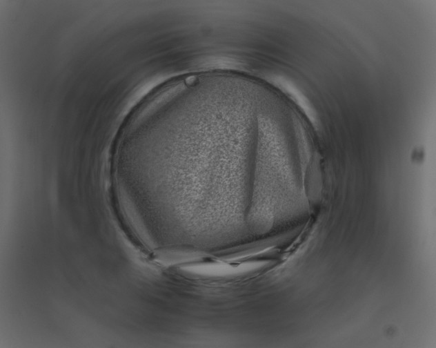 X0000094931031200712131532
