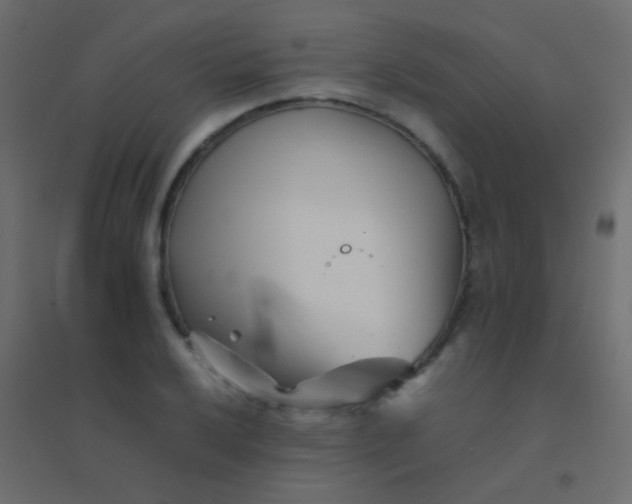 X0000094931032200712131532