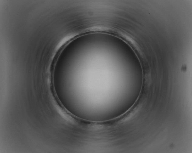 X0000094931034200712131532