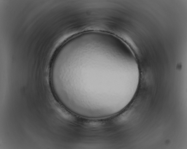 X0000094931035200712131532